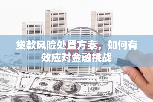 印台贷款风险处置方案，如何有效应对金融挑战
