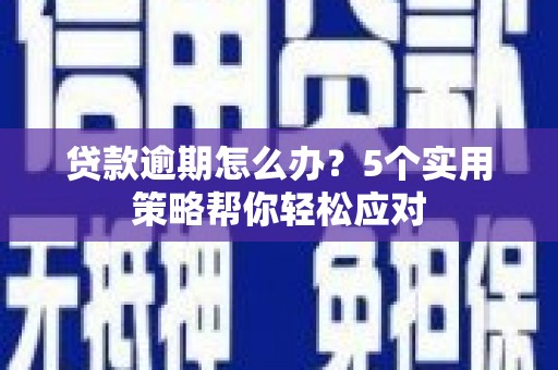 兴化贷款逾期怎么办？5个实用策略帮你轻松应对