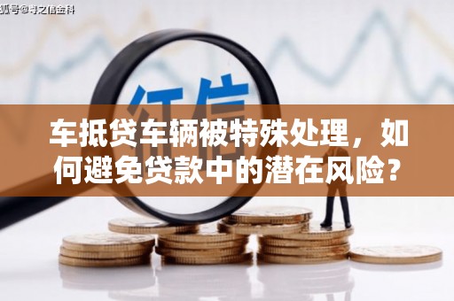 临洮车抵贷车辆被特殊处理，如何避免贷款中的潜在风险？