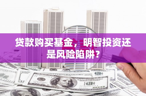 分宜贷款购买基金，明智投资还是风险陷阱？