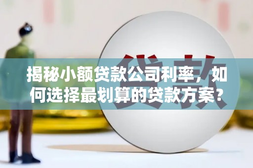 遵化市揭秘小额贷款公司利率，如何选择最划算的贷款方案？