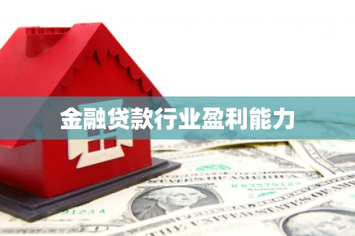 金寨金融贷款行业盈利能力