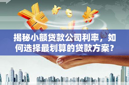 南关揭秘小额贷款公司利率，如何选择最划算的贷款方案？