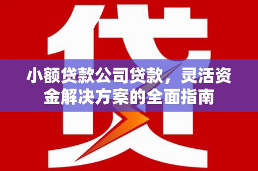 乌兰小额贷款公司贷款，灵活资金解决方案的全面指南