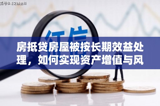 峨边房抵贷房屋被按长期效益处理，如何实现资产增值与风险控制