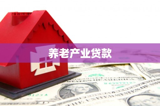 金寨养老产业贷款