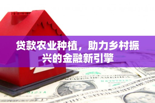 改则贷款农业种植，助力乡村振兴的金融新引擎