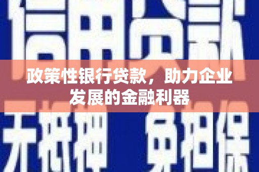 平原政策性银行贷款，助力企业发展的金融利器