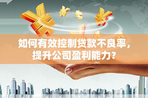 汉滨如何有效控制贷款不良率，提升公司盈利能力？