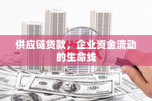 宁南供应链贷款，企业资金流动的生命线