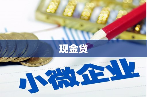 宁南现金贷