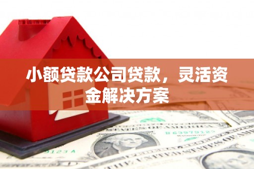 路桥小额贷款公司贷款，灵活资金解决方案