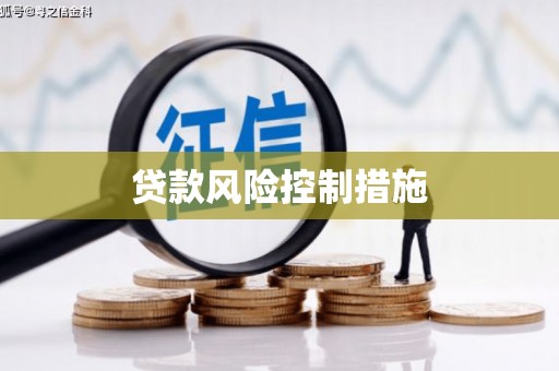 丹凤贷款风险控制措施