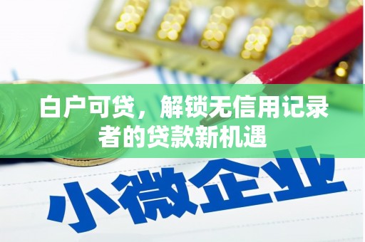 明山白户可贷，解锁无信用记录者的贷款新机遇