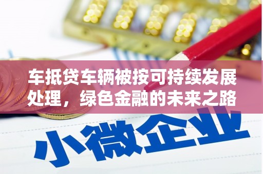 揭阳车抵贷车辆被按可持续发展处理，绿色金融的未来之路