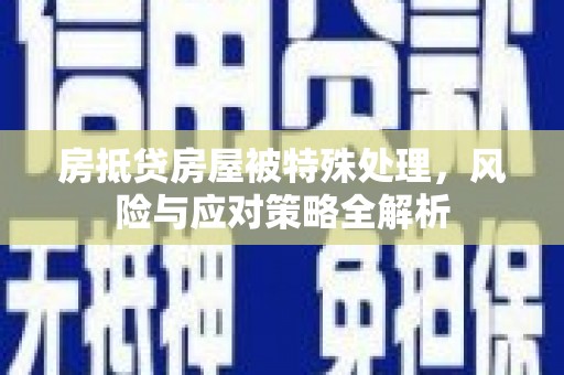 定南房抵贷房屋被特殊处理，风险与应对策略全解析