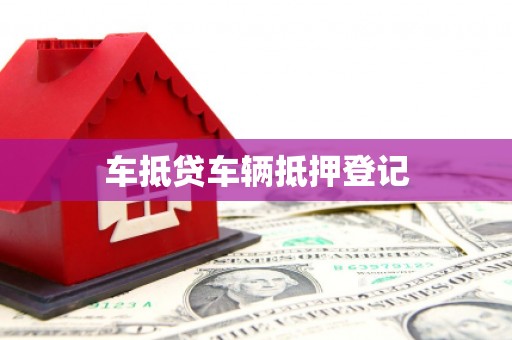 务川车抵贷车辆抵押登记