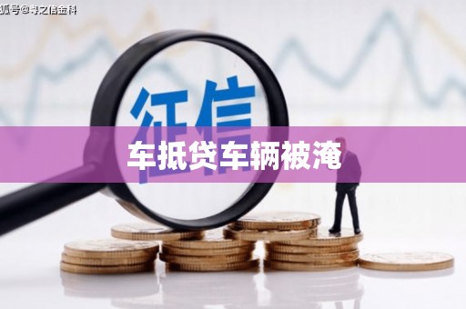 务川车抵贷车辆被淹