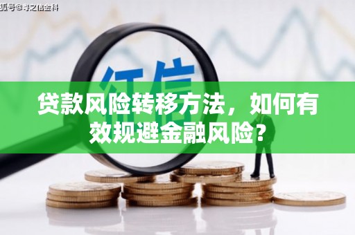 镇坪贷款风险转移方法，如何有效规避金融风险？