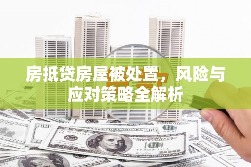稻城房抵贷房屋被处置，风险与应对策略全解析
