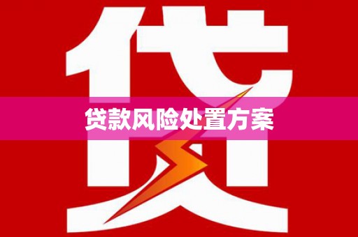 嵊州贷款风险处置方案