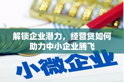 三沙解锁企业潜力，经营贷如何助力中小企业腾飞