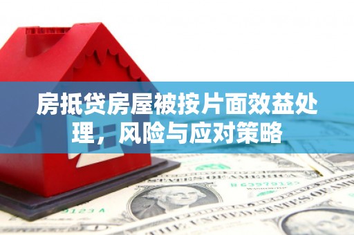 三沙房抵贷房屋被按片面效益处理，风险与应对策略