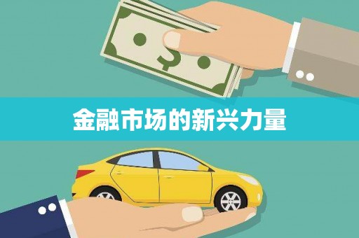 荷塘金融市场的新兴力量