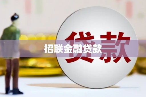 永登招联金融贷款