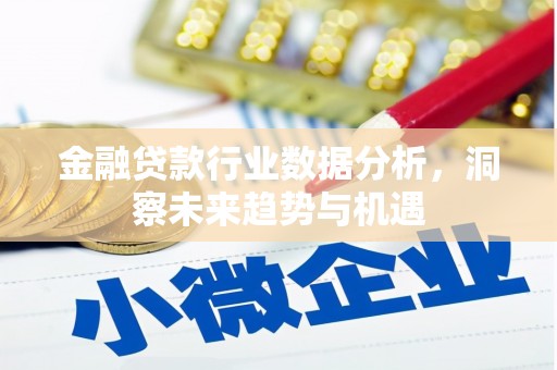 香港岛金融贷款行业数据分析，洞察未来趋势与机遇