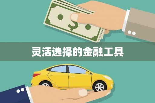 吉木萨尔灵活选择的金融工具