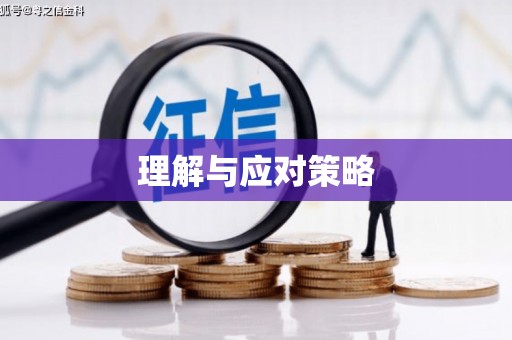 坡头理解与应对策略