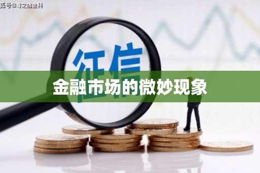 坡头金融市场的微妙现象