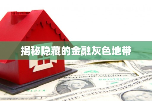金乡揭秘隐藏的金融灰色地带