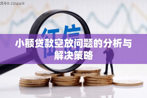 大理小额贷款空放问题的分析与解决策略