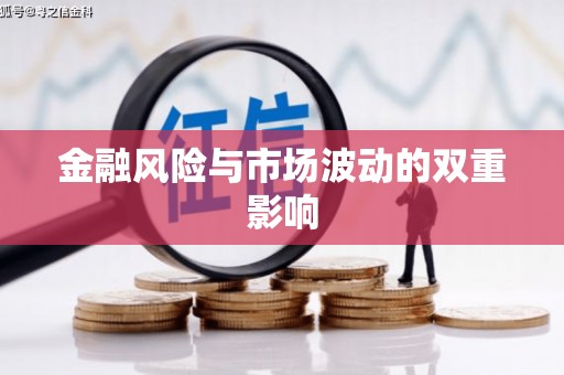 溪口金融风险与市场波动的双重影响
