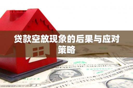 溪口贷款空放现象的后果与应对策略