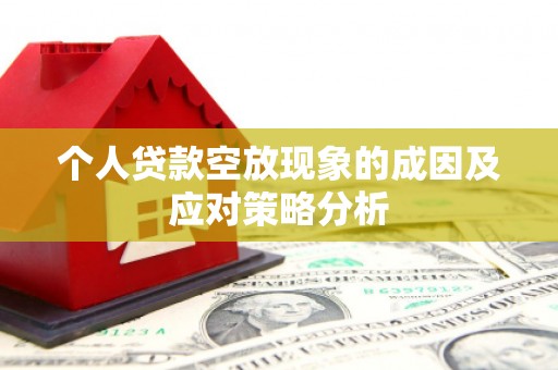 杞县个人贷款空放现象的成因及应对策略分析