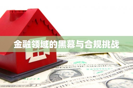 道真金融领域的黑幕与合规挑战
