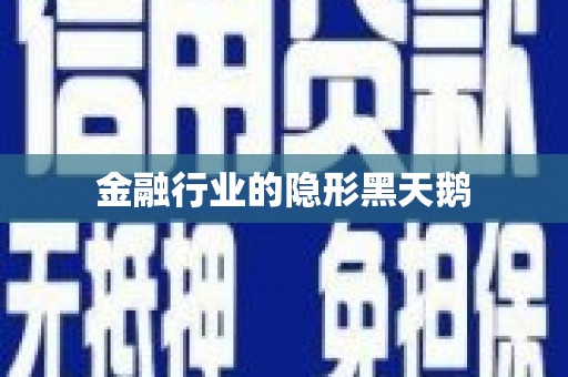 道真金融行业的隐形黑天鹅