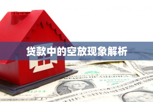 道真贷款中的空放现象解析