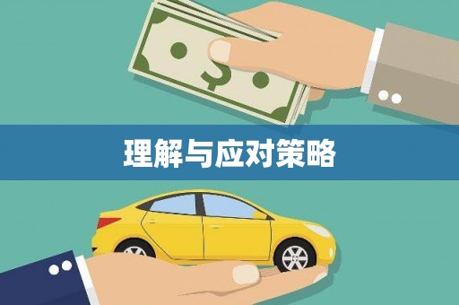 南丹理解与应对策略
