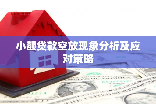 仁怀小额贷款空放现象分析及应对策略