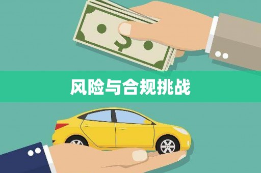 类乌齐风险与合规挑战