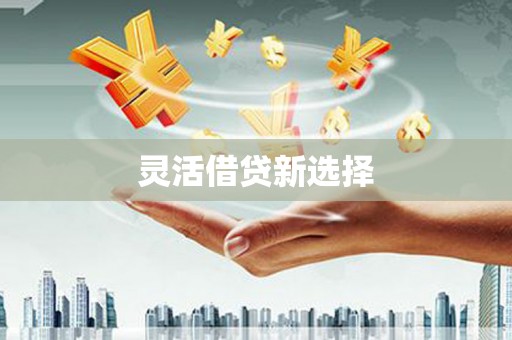 塔城灵活借贷新选择
