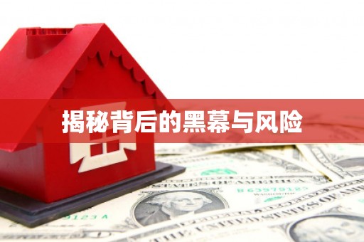 枣庄揭秘背后的黑幕与风险
