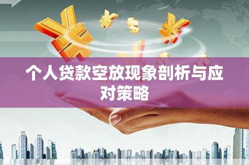 兴庆个人贷款空放现象剖析与应对策略