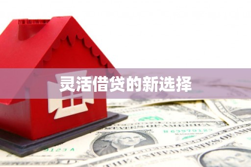 盐埕灵活借贷的新选择