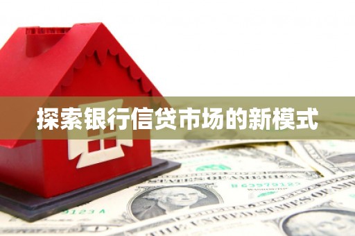 水里探索银行信贷市场的新模式