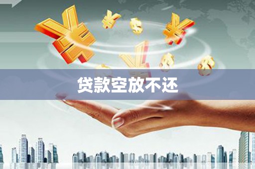 宜州贷款空放不还